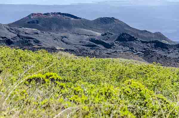 78 - Ecuador - islas Galapagos - isla Isabela - volcan Chico - cono parasito